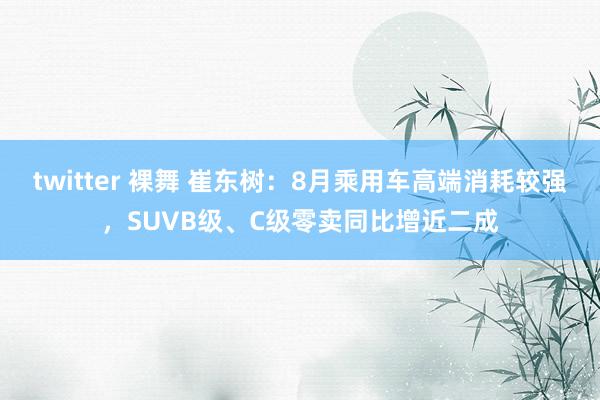 twitter 裸舞 崔东树：8月乘用车高端消耗较强，SUVB级、C级零卖同比增近二成