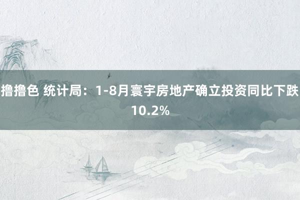   撸撸色 统计局：1-8月寰宇房地产确立投资同比下跌10.2%