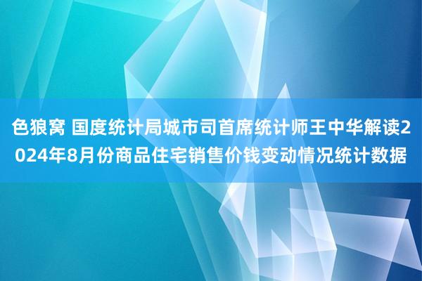   色狼窝 国度统计局城市司首席统计师王中华解读2024年8月份商品住宅销售价钱变动情况统计数据