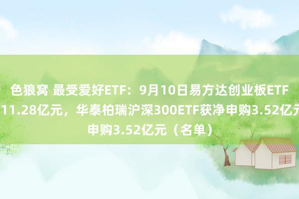 色狼窝 最受爱好ETF：9月10日易方达创业板ETF获净申购11.28亿元，华泰柏瑞沪深300ETF获净申购3.52亿元（名单）