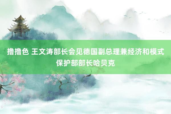 撸撸色 王文涛部长会见德国副总理兼经济和模式保护部部长哈贝克