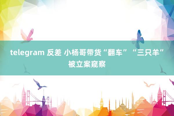 telegram 反差 小杨哥带货“翻车” “三只羊”被立案窥察