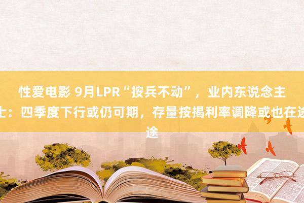   性爱电影 9月LPR“按兵不动”，业内东说念主士：四季度下行或仍可期，存量按揭利率调降或也在途