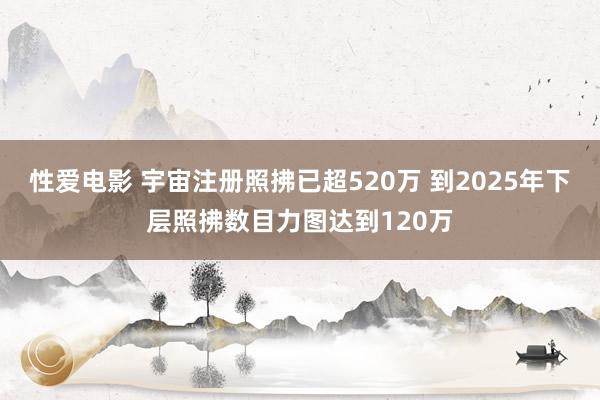   性爱电影 宇宙注册照拂已超520万 到2025年下层照拂数目力图达到120万