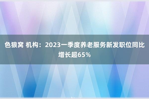   色狼窝 机构：2023一季度养老服务新发职位同比增长超65%