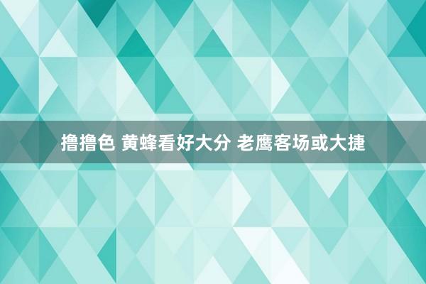   撸撸色 黄蜂看好大分 老鹰客场或大捷