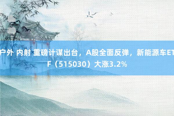   户外 内射 重磅计谋出台，A股全面反弹，新能源车ETF（515030）大涨3.2%