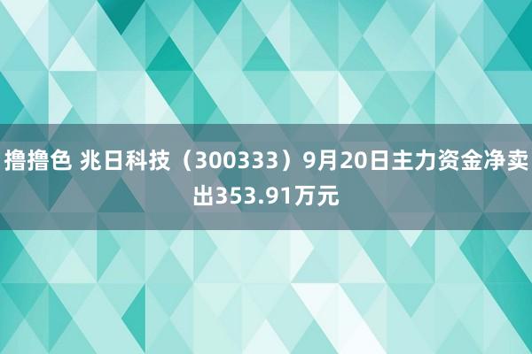   撸撸色 兆日科技（300333）9月20日主力资金净卖出353.91万元