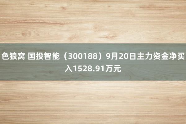 色狼窝 国投智能（300188）9月20日主力资金净买入1528.91万元