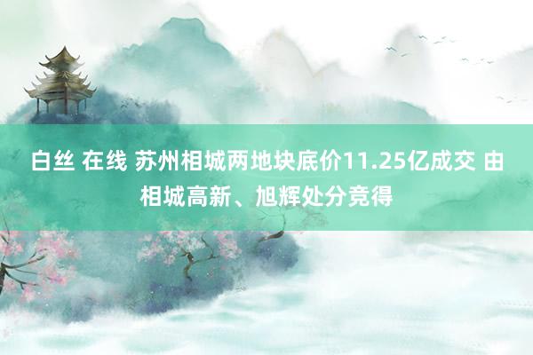   白丝 在线 苏州相城两地块底价11.25亿成交 由相城高新、旭辉处分竞得