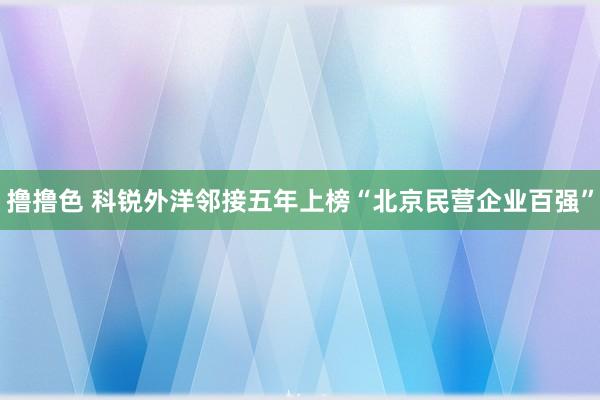   撸撸色 科锐外洋邻接五年上榜“北京民营企业百强”