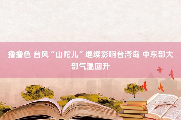   撸撸色 台风“山陀儿”继续影响台湾岛 中东部大部气温回升