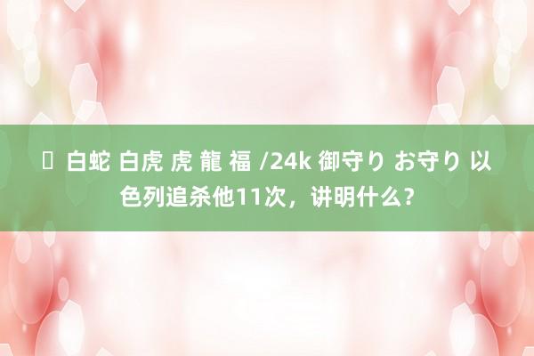   ✨白蛇 白虎 虎 龍 福 /24k 御守り お守り 以色列追杀他11次，讲明什么？