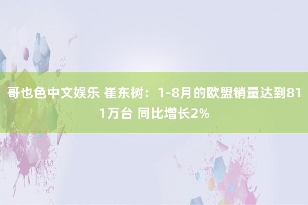   哥也色中文娱乐 崔东树：1-8月的欧盟销量达到811万台 同比增长2%