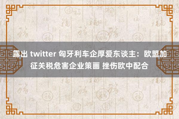 露出 twitter 匈牙利车企厚爱东谈主：欧盟加征关税危害企业策画 挫伤欧中配合