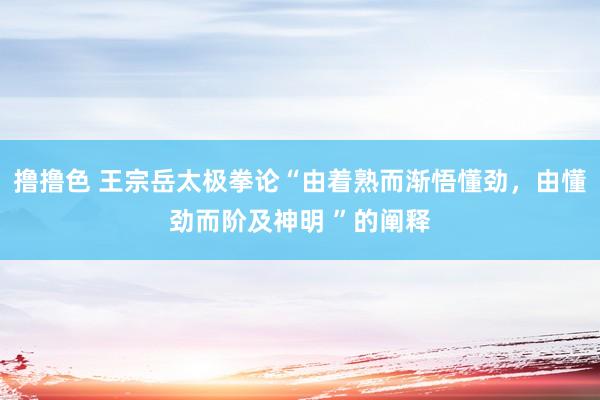   撸撸色 王宗岳太极拳论“由着熟而渐悟懂劲，由懂劲而阶及神明 ”的阐释