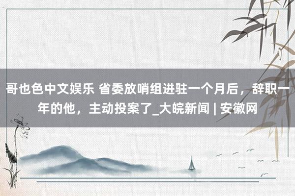   哥也色中文娱乐 省委放哨组进驻一个月后，辞职一年的他，主动投案了_大皖新闻 | 安徽网