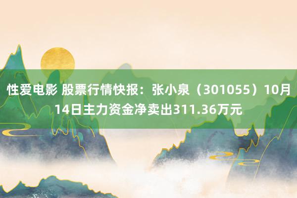   性爱电影 股票行情快报：张小泉（301055）10月14日主力资金净卖出311.36万元