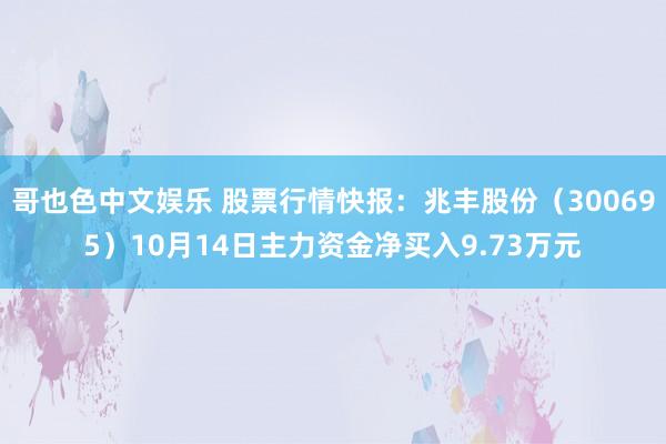   哥也色中文娱乐 股票行情快报：兆丰股份（300695）10月14日主力资金净买入9.73万元