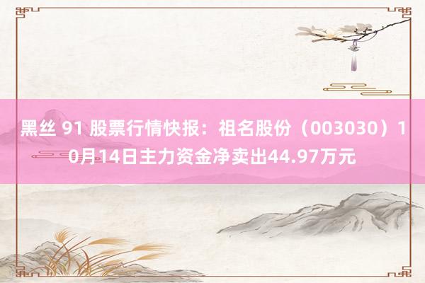   黑丝 91 股票行情快报：祖名股份（003030）10月14日主力资金净卖出44.97万元