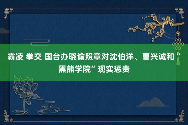   霸凌 拳交 国台办晓谕照章对沈伯洋、曹兴诚和“黑熊学院”现实惩责