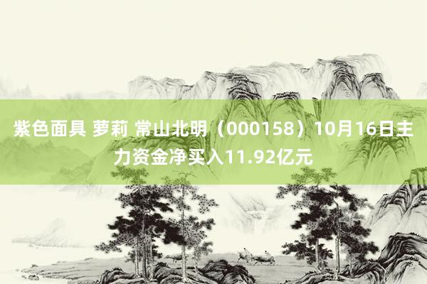   紫色面具 萝莉 常山北明（000158）10月16日主力资金净买入11.92亿元