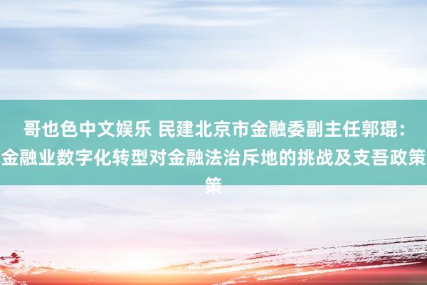   哥也色中文娱乐 民建北京市金融委副主任郭琨：金融业数字化转型对金融法治斥地的挑战及支吾政策