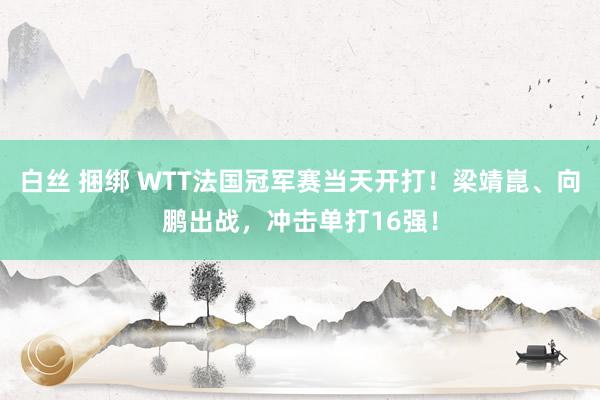   白丝 捆绑 WTT法国冠军赛当天开打！梁靖崑、向鹏出战，冲击单打16强！