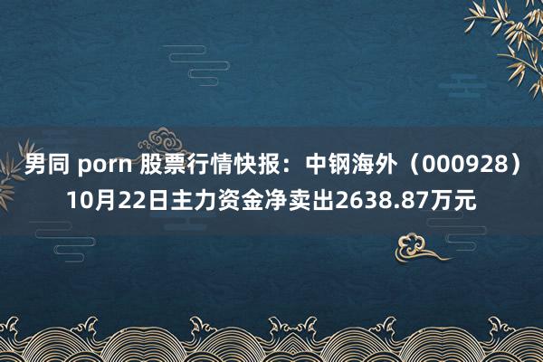   男同 porn 股票行情快报：中钢海外（000928）10月22日主力资金净卖出2638.87万元