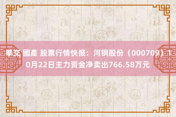   拳交 國產 股票行情快报：河钢股份（000709）10月22日主力资金净卖出766.58万元