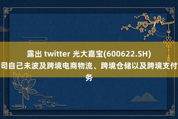   露出 twitter 光大嘉宝(600622.SH)：公司自己未波及跨境电商物流、跨境仓储以及跨境支付业务