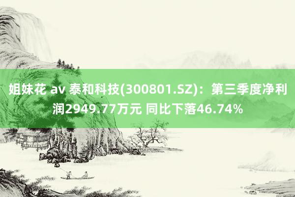   姐妹花 av 泰和科技(300801.SZ)：第三季度净利润2949.77万元 同比下落46.74%