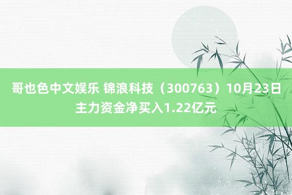   哥也色中文娱乐 锦浪科技（300763）10月23日主力资金净买入1.22亿元