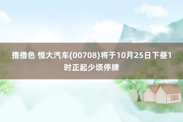   撸撸色 恒大汽车(00708)将于10月25日下昼1时正起少顷停牌