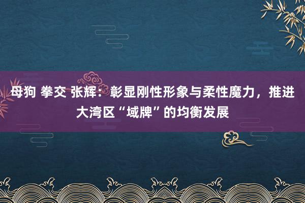   母狗 拳交 张辉：彰显刚性形象与柔性魔力，推进大湾区“域牌”的均衡发展