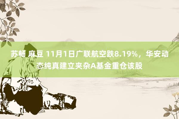 苏畅 麻豆 11月1日广联航空跌8.19%，华安动态纯真建立夹杂A基金重仓该股