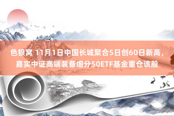   色狼窝 11月1日中国长城聚合5日创60日新高，嘉实中证高端装备细分50ETF基金重仓该股