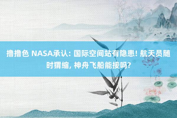   撸撸色 NASA承认: 国际空间站有隐患! 航天员随时猬缩, 神舟飞船能接吗?