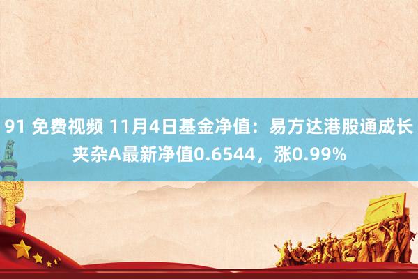   91 免费视频 11月4日基金净值：易方达港股通成长夹杂A最新净值0.6544，涨0.99%