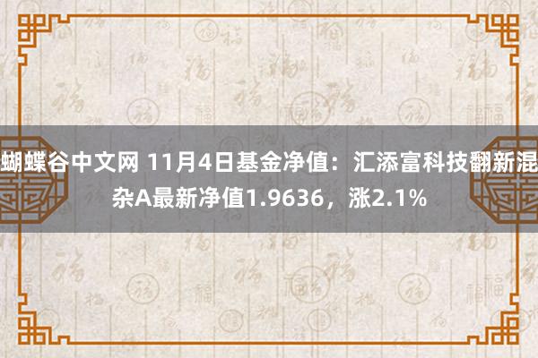 蝴蝶谷中文网 11月4日基金净值：汇添富科技翻新混杂A最新净值1.9636，涨2.1%