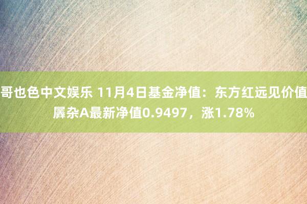   哥也色中文娱乐 11月4日基金净值：东方红远见价值羼杂A最新净值0.9497，涨1.78%