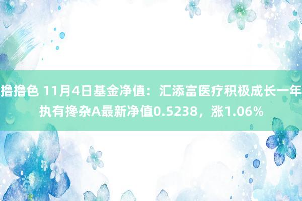   撸撸色 11月4日基金净值：汇添富医疗积极成长一年执有搀杂A最新净值0.5238，涨1.06%