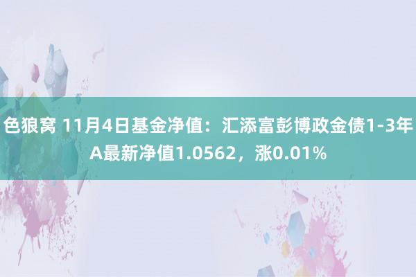   色狼窝 11月4日基金净值：汇添富彭博政金债1-3年A最新净值1.0562，涨0.01%