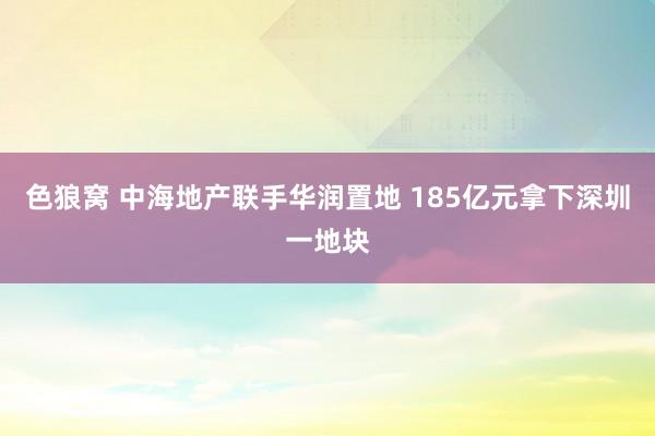   色狼窝 中海地产联手华润置地 185亿元拿下深圳一地块