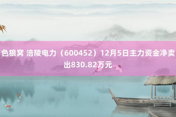   色狼窝 涪陵电力（600452）12月5日主力资金净卖出830.82万元