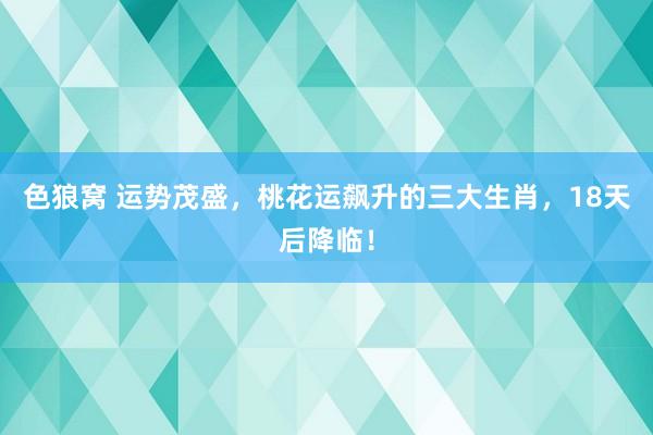   色狼窝 运势茂盛，桃花运飙升的三大生肖，18天后降临！