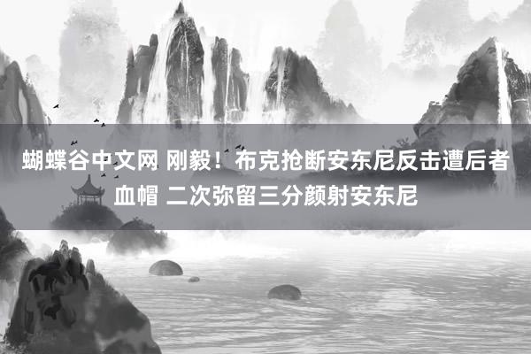 蝴蝶谷中文网 刚毅！布克抢断安东尼反击遭后者血帽 二次弥留三分颜射安东尼