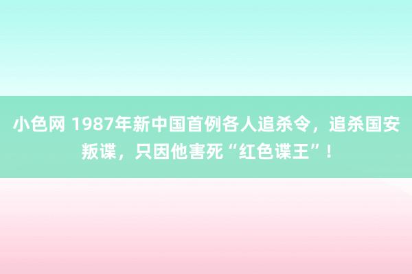 小色网 1987年新中国首例各人追杀令，追杀国安叛谍，只因他害死“红色谍王”！