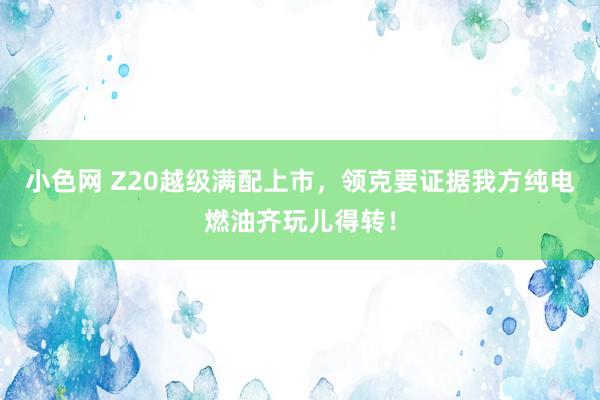 小色网 Z20越级满配上市，领克要证据我方纯电燃油齐玩儿得转！