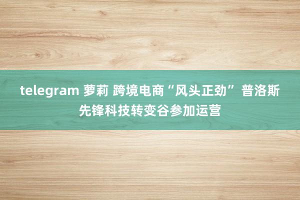 telegram 萝莉 跨境电商“风头正劲” 普洛斯先锋科技